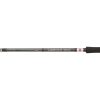 Penn Legion Cat Silver Power Allround 2,70m 200-400g