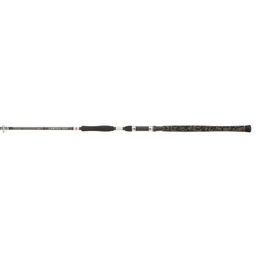 Penn Legion Cat Silver Power Allround 3m 200-400g