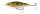 Savage Gear 3D Roach Jerkster 90 9cm 20g SS 03-Perch