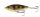 Savage Gear 3D Roach Jerkster 90 9cm 20g SS 09-Ghost Goby