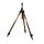 CARP EXPERT METHOD TRIPOD