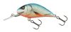 SALMO WOBBLER HORNET H2S D