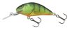 SALMO WOBBLER HORNET H2S RVC