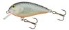 SALMO WOBBLER BUTCHER BR5F GS