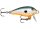 RAPALA MINI FAT RAP MFR03 ORSD